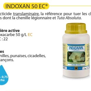 Insecticides