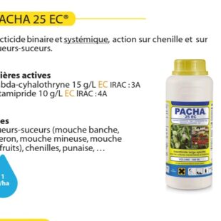 Insecticides