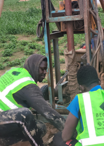 Forage agricole réalisé par BeGreen au Sénégal