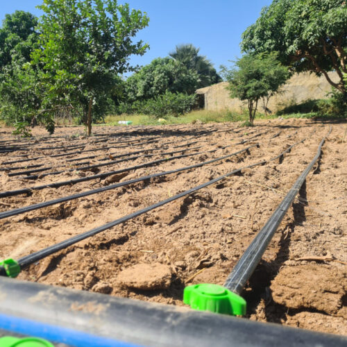 Système d'irrigation