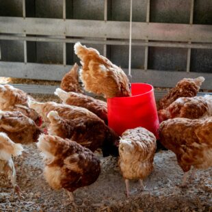 Equipements agricoles