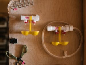 Abreuvoir Automatique