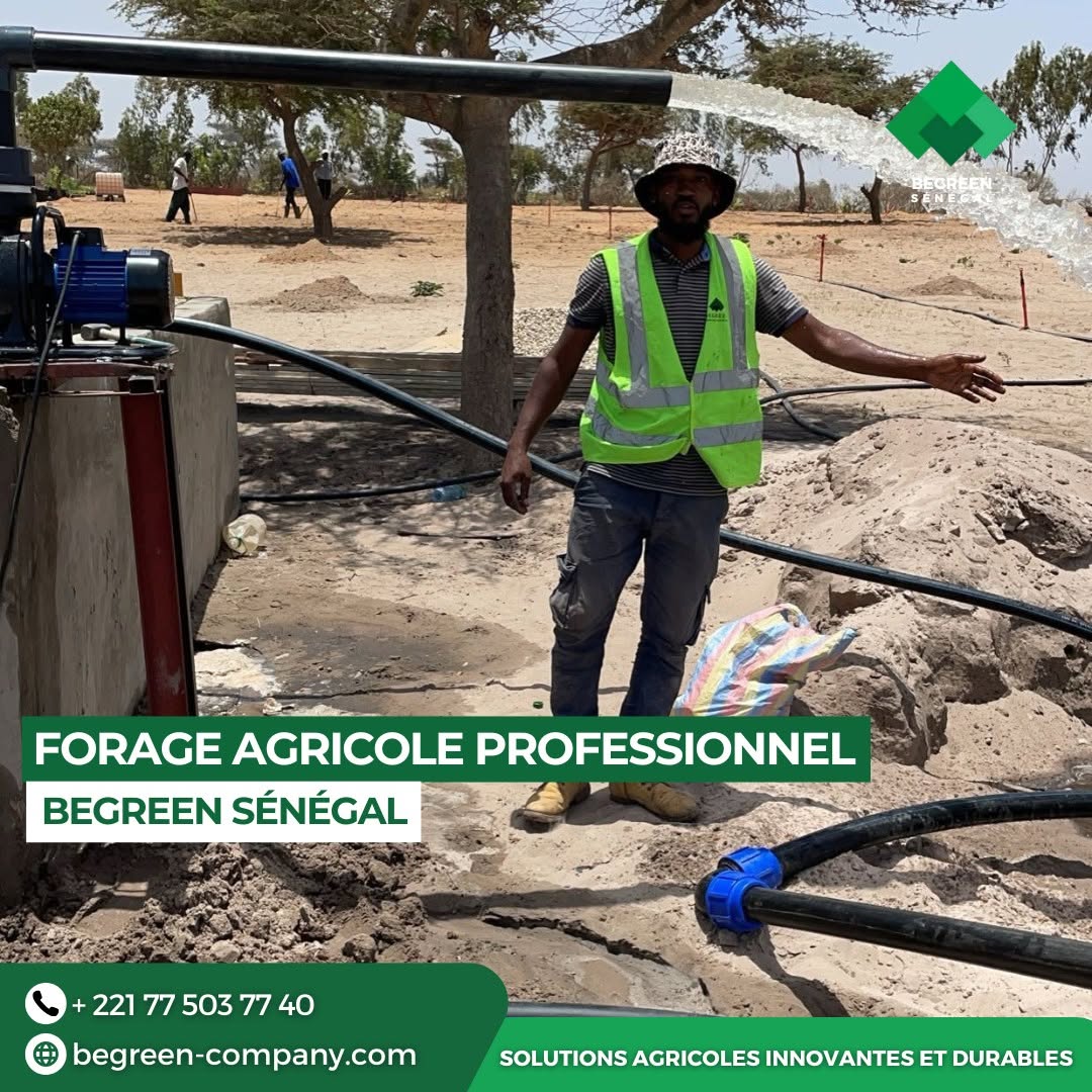 Forage agricole professionnel BeGreen Sénégal