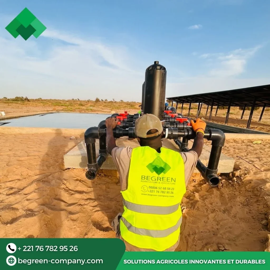 Installation d un système d irrigation par BeGreen au Sénégal