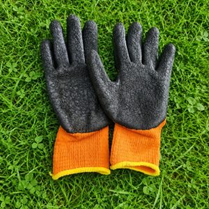 Gants