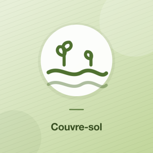 Couvre-sol