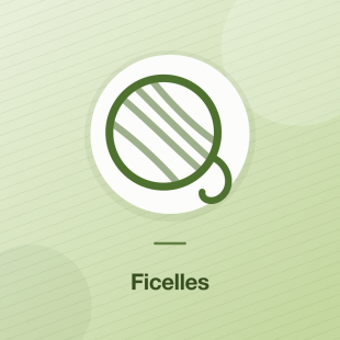 Ficelles