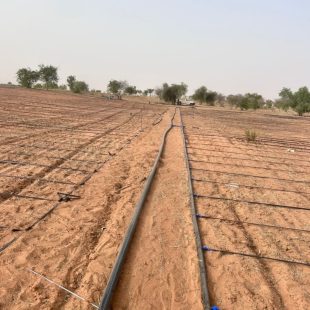 Irrigation