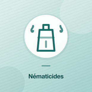 Nématicides
