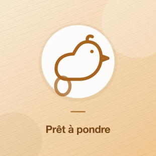 Poulettes 2 mois
