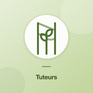 Tuteurs